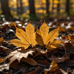 Canvas Print - leaf