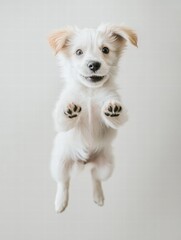 Poster - Joyful puppy jumps in mid air showcasing its playful spirit in a bright, airy environment with space for text. Generative AI