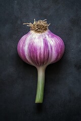 Sticker - Fresh purple garlic bulb with a green stem on a dark background