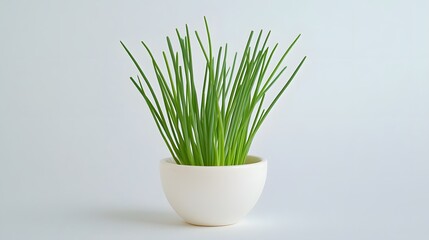 Canvas Print - Fresh chives in a small white bowl against a light gray background.  Simple, clean image perfect for culinary or gardening themes.