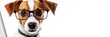© VIK - Smart Dog with Glasses at Computer - A dog donning glasses and using a laptop symbolizes intelligence, tech-savviness, learning, work, and efficiency.