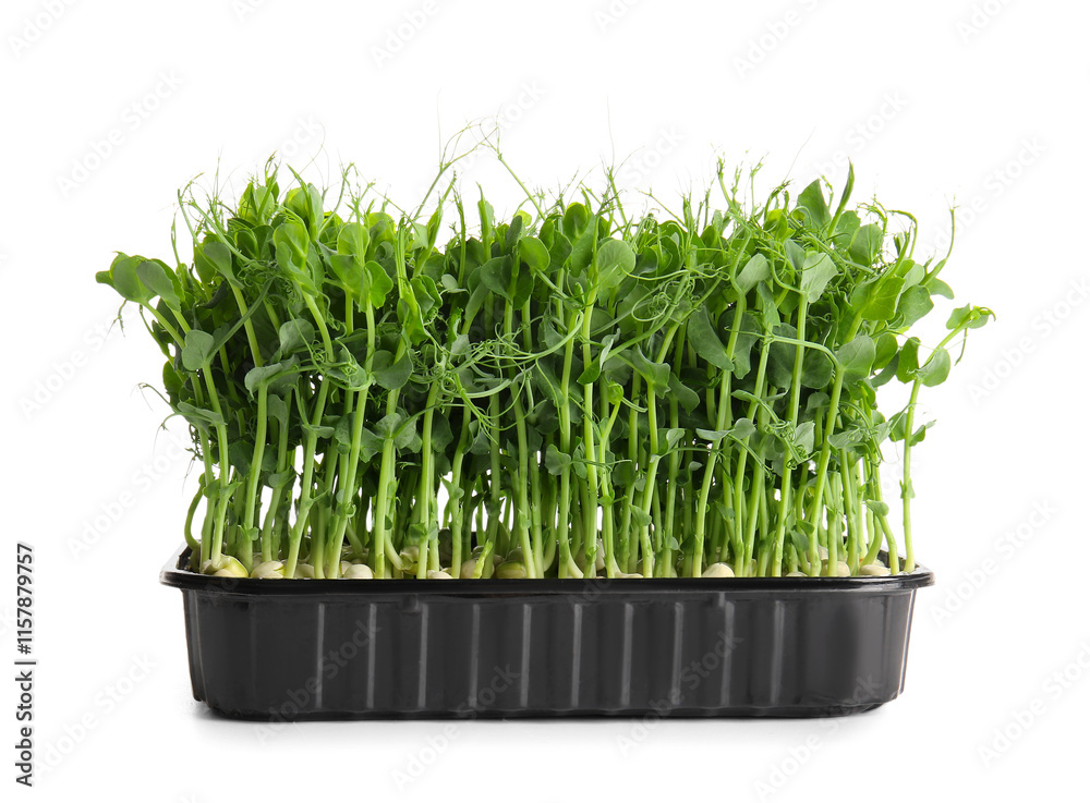 Plastic container with fresh peas micro green on white background