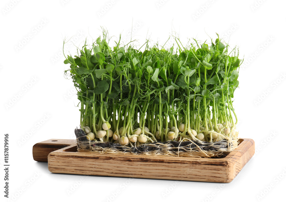Wooden board with fresh peas micro green on white background