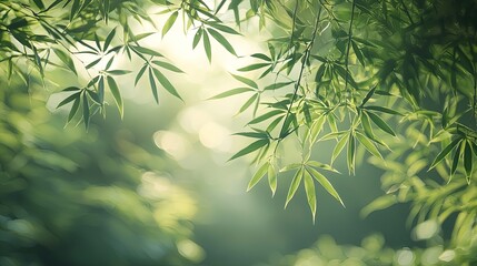 Wall Mural - Bamboo and nature motifs concept, Lush green leaves softly illuminated by sunlight in a serene natural setting.