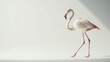 © Анатолий Сав - Flamingo standing elegantly on one leg with ample space for creative text placement in a minimalist setting. Generative AI
