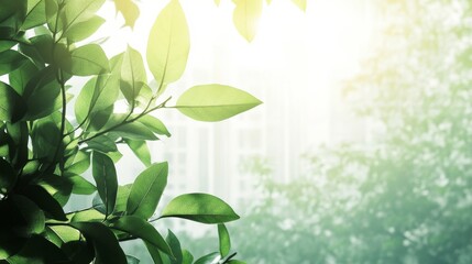 Poster - Green Leaves with Bright Urban Background and Soft Light