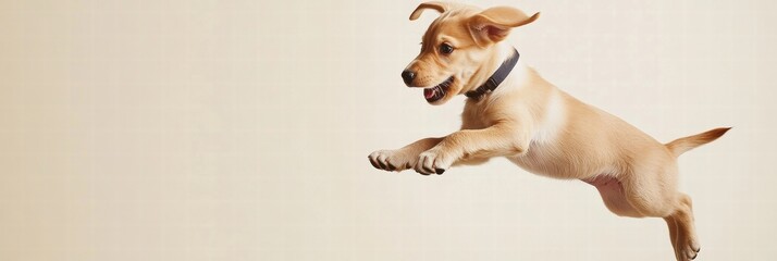 Poster - Joyful puppy jumping in mid air with energy and excitement ready for fun and adventure in a playful moment. Generative AI