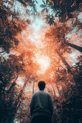 Wall Mural - Person gazing up at glowing orange foliage in lush forest.