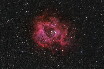 Wall Mural - real astrophotograph of rosette nebula, ngc 2237 a stunning emission nebula in the monoceros constel