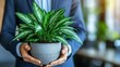 © DARIKA - A professional watering plants in a boardroom, symbolizing business success and the long-term vision of nurturing growth and innovation.
