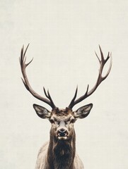 Aufkleber - Elegant deer with impressive antlers poses against a soft backdrop creating a serene atmosphere for artistic expression. Generative AI