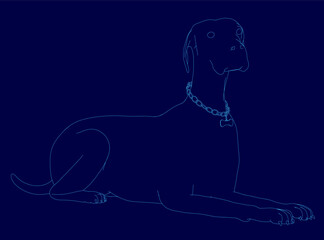 Poster - Dog is laying down on a blue background. The dog is wearing a collar. The dog is looking at the camera