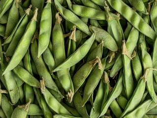 Canvas Print - Stacked Green Peas