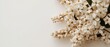 © Narongsag - Elegant White Flowers  Floral Border  Spring Blossoms  Soft Background