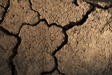 Close-up of parched, cracked soil texture, symbolizing drought or environmental challenges.