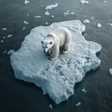 Polar Bear on Drifting Ice Floe in Icy Arctic Landscape