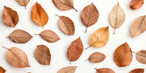 Poster - Autumn creative composition featuring dried leaves arranged on a white background. This fall concept highlights the beauty of autumn with a flat lay design and ample copy space.