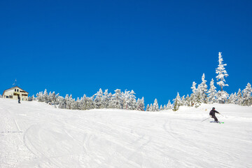 Wall Mural - Ski slope surrounded by Ice Monster forest (Shibutoge, Gunma, Japan)