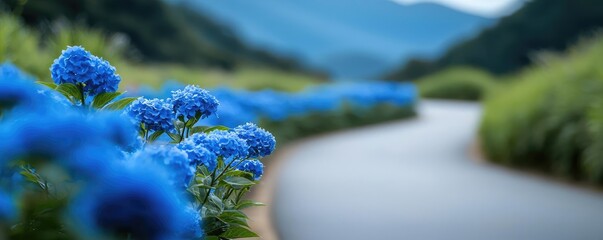 Poster - Blue wildflower idea. Beautiful blue flowers along a tranquil winding pathway in a serene landscape.