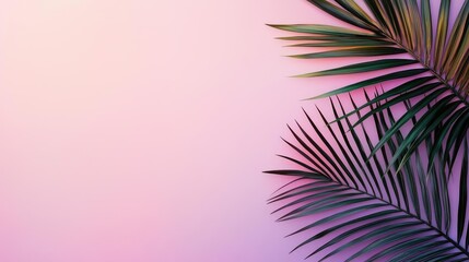 Poster - Palm leaves abstract background concept. Elegant palm leaves against a soft pastel background for a tropical vibe.