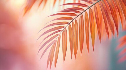 Poster - Palm leaves abstract background concept. Beautifully vibrant orange leaf with a soft-focus background in warm tones.