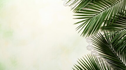Aufkleber - Palm leaves abstract background concept. Lush green palm leaves frame a soft, minimalist background for stunning visuals.