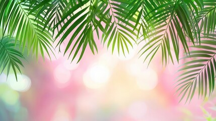 Aufkleber - Palm leaves abstract background concept. Vibrant green palm leaves against a soft, dreamy pink background.