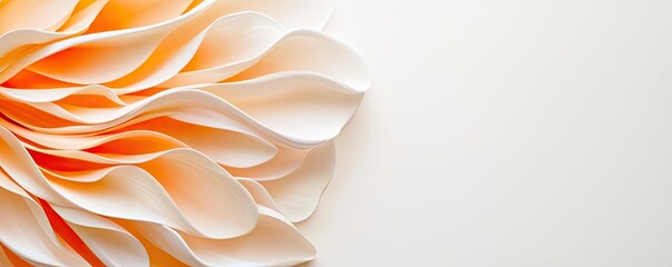 Aufkleber - Daisy floral abstract background idea. Delicate orange flower petals gracefully arranged against a soft white background.