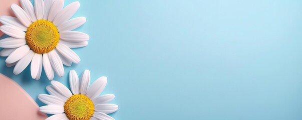 Poster - Daisy floral abstract background idea. Fresh daisies on a pastel background, symbolizing beauty and tranquility in nature.