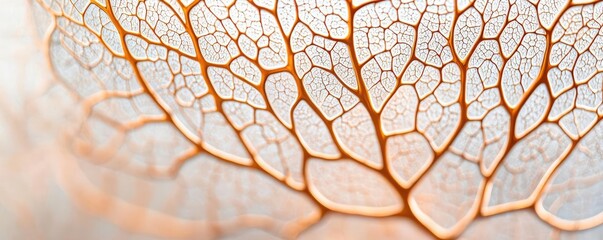 Poster - Plane tree abstract background idea. Close-up of delicate leaf veins showcasing intricate natural patterns and textures.