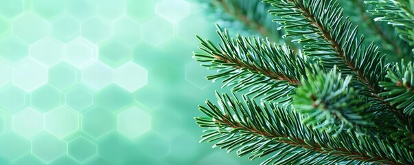 Poster - Pine tree abstract background idea. Close-up view of vibrant evergreen branches on a soft blurred background.