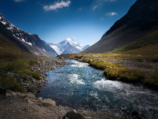 Poster - A pristine mountain stream flows through a rocky valley, flanked by snow-capped peaks under a vibrant blue sky.  The scene is serene and untouched.