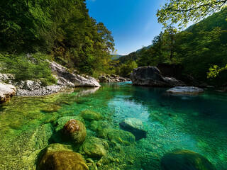 Poster - Crystal-clear river flows through a lush green valley.  Sunlight illuminates the shallows, revealing smooth rocks and vibrant aquatic plants.  Tranquil and pristine nature scene.