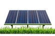 © Flavonoids  - Solar Panels on Grass Surface Harnessing Renewable Energy Sources