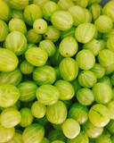 gooseberries close up