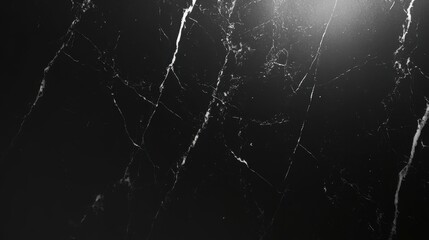 Poster - elegant black marble background with white veins for designs