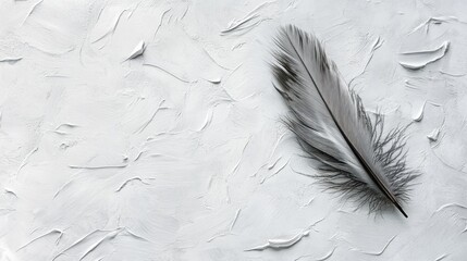 Poster - Soft Grey Feather on Textured White Background for Minimalist Design