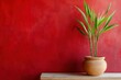 © Nico - Simple Green Plant Against Bold Red Wall Background