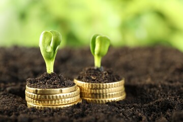 Wall Mural - Stacks of coins with green plants on soil against blurred background, closeup. Money growth concept