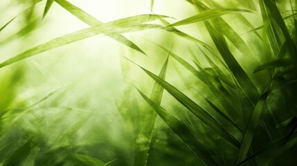 Poster - Soft Green Background with High Contrast Action Shots