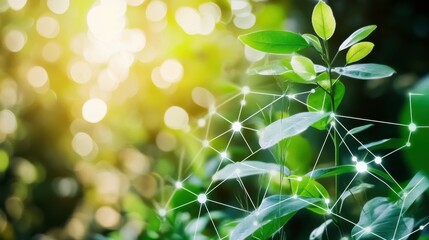 Poster - Soft Light Forest Background with Modern Technology Elements
