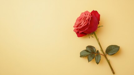 Aufkleber - A charming rose on a gentle yellow background, flat design style, photo of