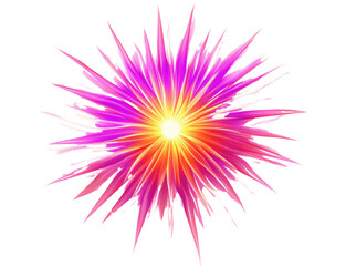 Poster - A colorful New Year’s firework display icon, captured as a single bright burst, isolated on a white background