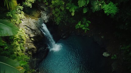 Poster - A serene composition of a waterfall cascading into a crystal-clear pool in a lush tropical jungle, top-down shot, Zen style