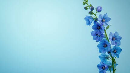 Poster - A vibrant blue delphinium against a soft sky blue background, close-up shot, Minimalist style