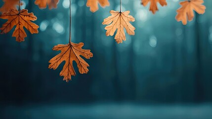 Wall Mural - Oak leaves abstract background idea. Close-up of orange leaves against a blurred forest background in autumn.