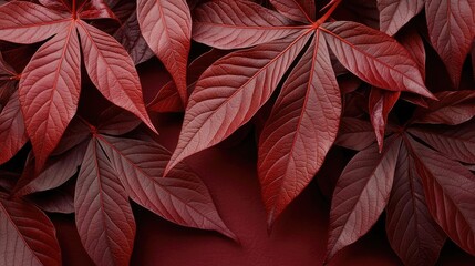 Poster - Mahogany tree abstract background idea. Vibrant red leaves creating a rich, textured background for nature-inspired designs.