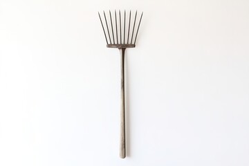 Poster - small garden hand rake centered on white background with plenty of empty space on both sides for text