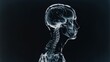 © Sirin - A human silhouette , floating in black space. The xray body is visible through the head and face