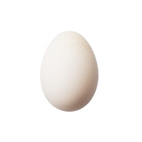 egg isolated on transparent background, png